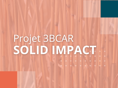 logo Solid Impact