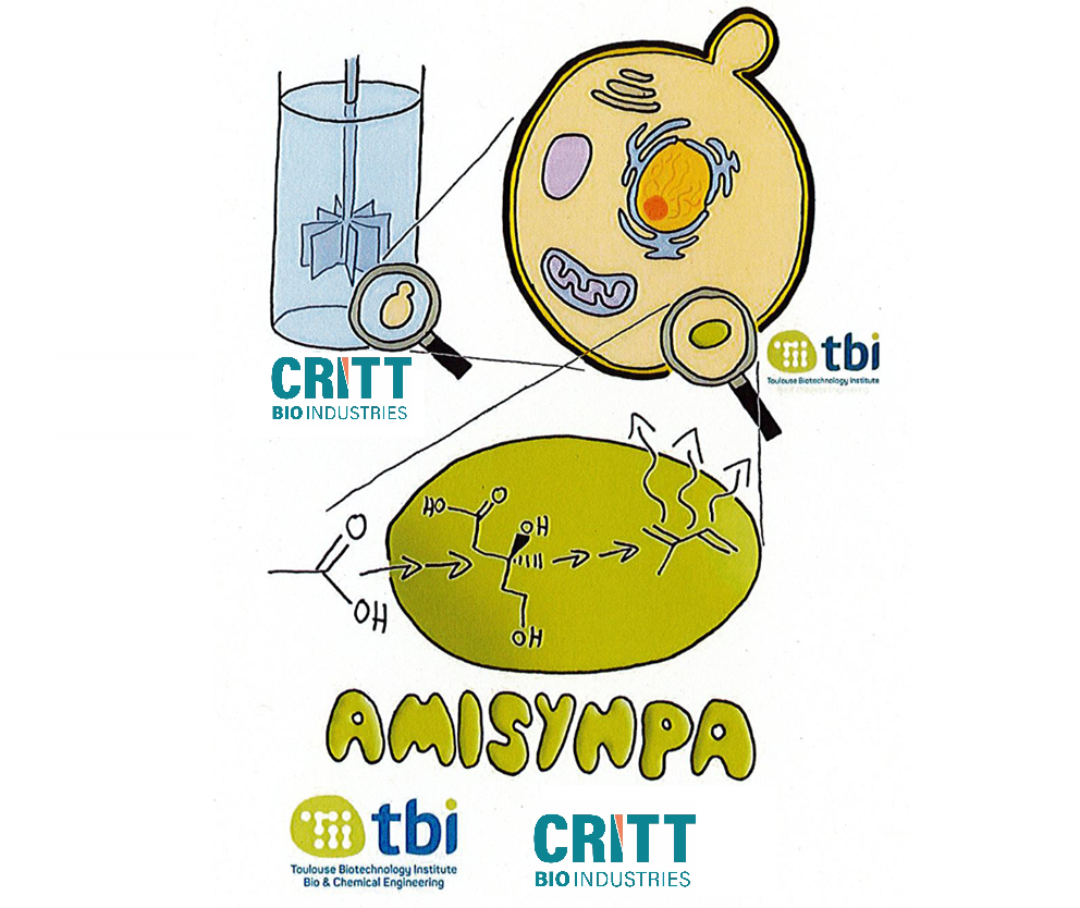 projet AmiSympa